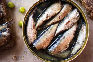 sardines
