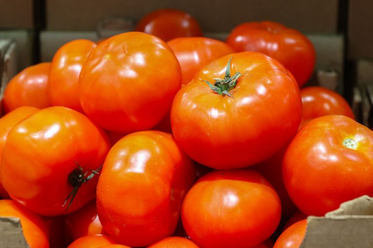 tomaten